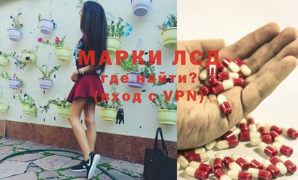 стаф Бородино